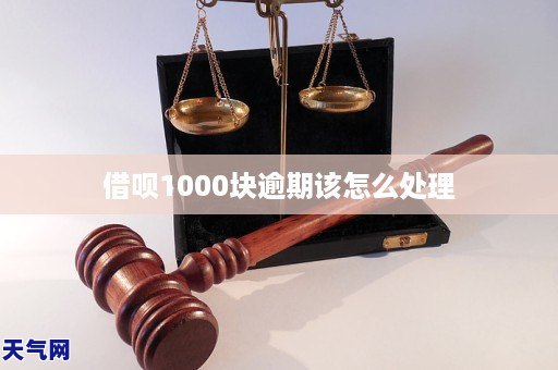 龙8官网手机版借呗1000块逾期该怎么处理